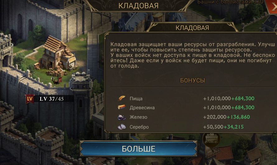 Кладовая в King of Avalon